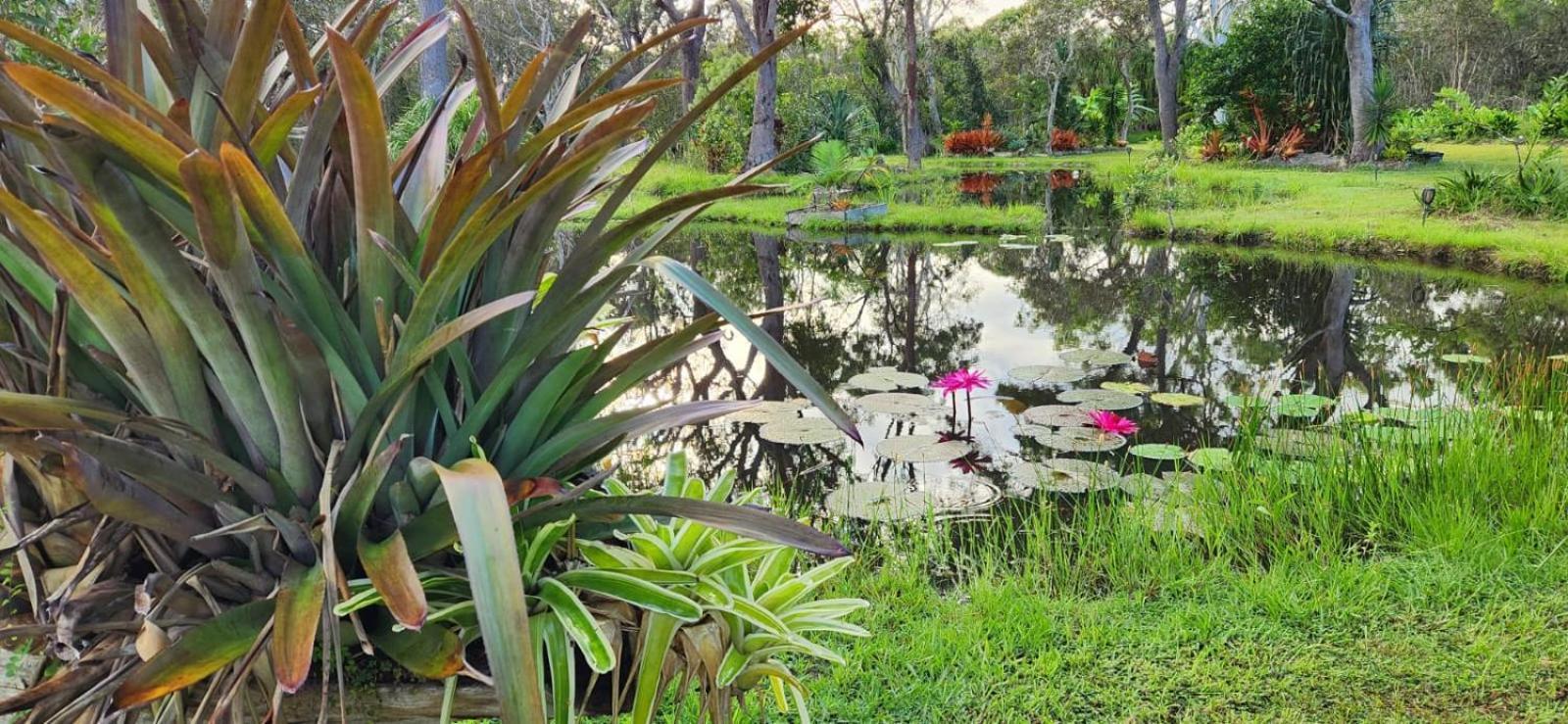 Sunnys Piece Of Paradise Agnes Water Exterior photo